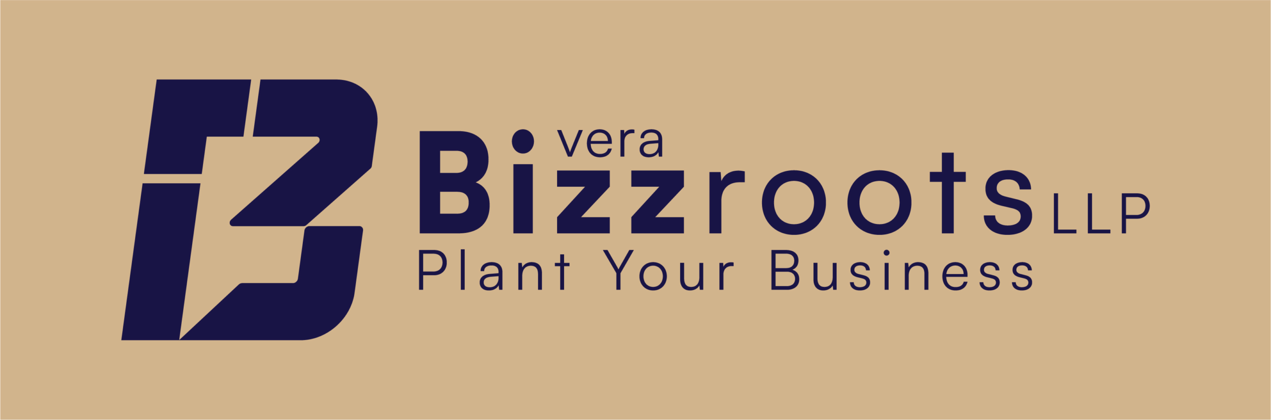 imgi_6_BIZZROOTS-06